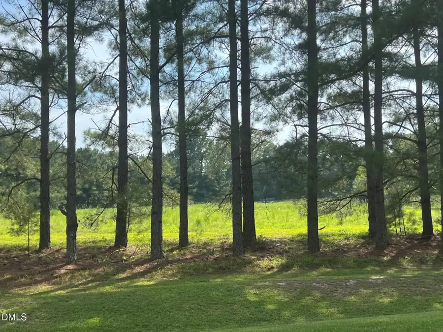 3427 Matthews Mill Pond Road, Angier, NC 27501 - #3