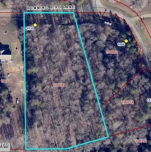 1131 Hummingbird Lane, Liberty, NC 27298 - #2