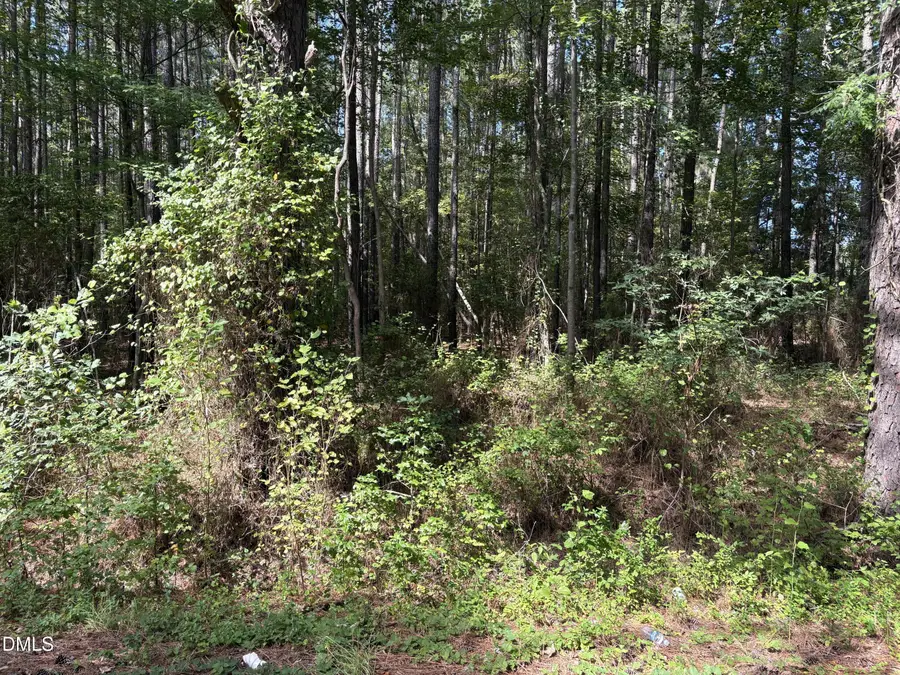 0 Carver School Road, Henderson, NC 27537 - #2