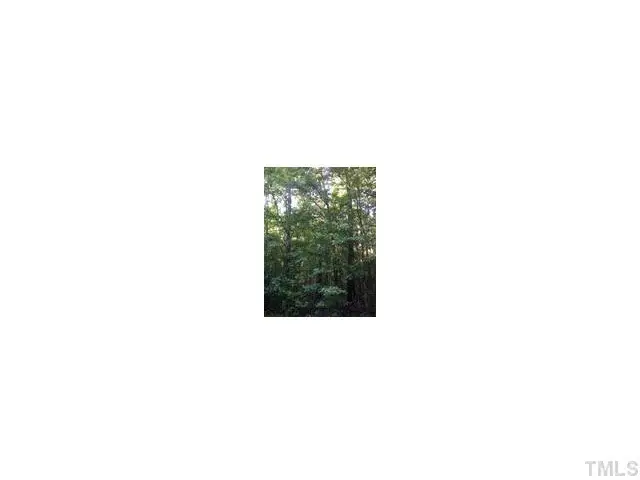 120 Rustler Road, Louisburg, NC 27549 - #1