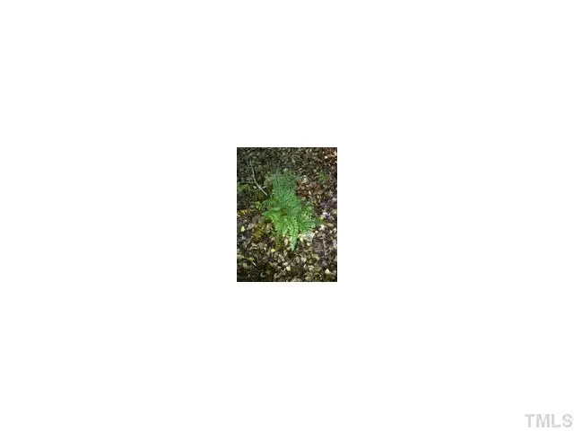 120 Rustler Road, Louisburg, NC 27549 - #3