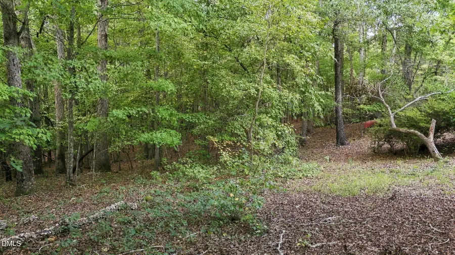 00 Rollins Mill Road, Holly Springs, NC 27540 - #2
