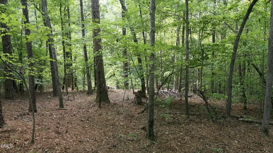 00 Rollins Mill Road, Holly Springs, NC 27540 - #3