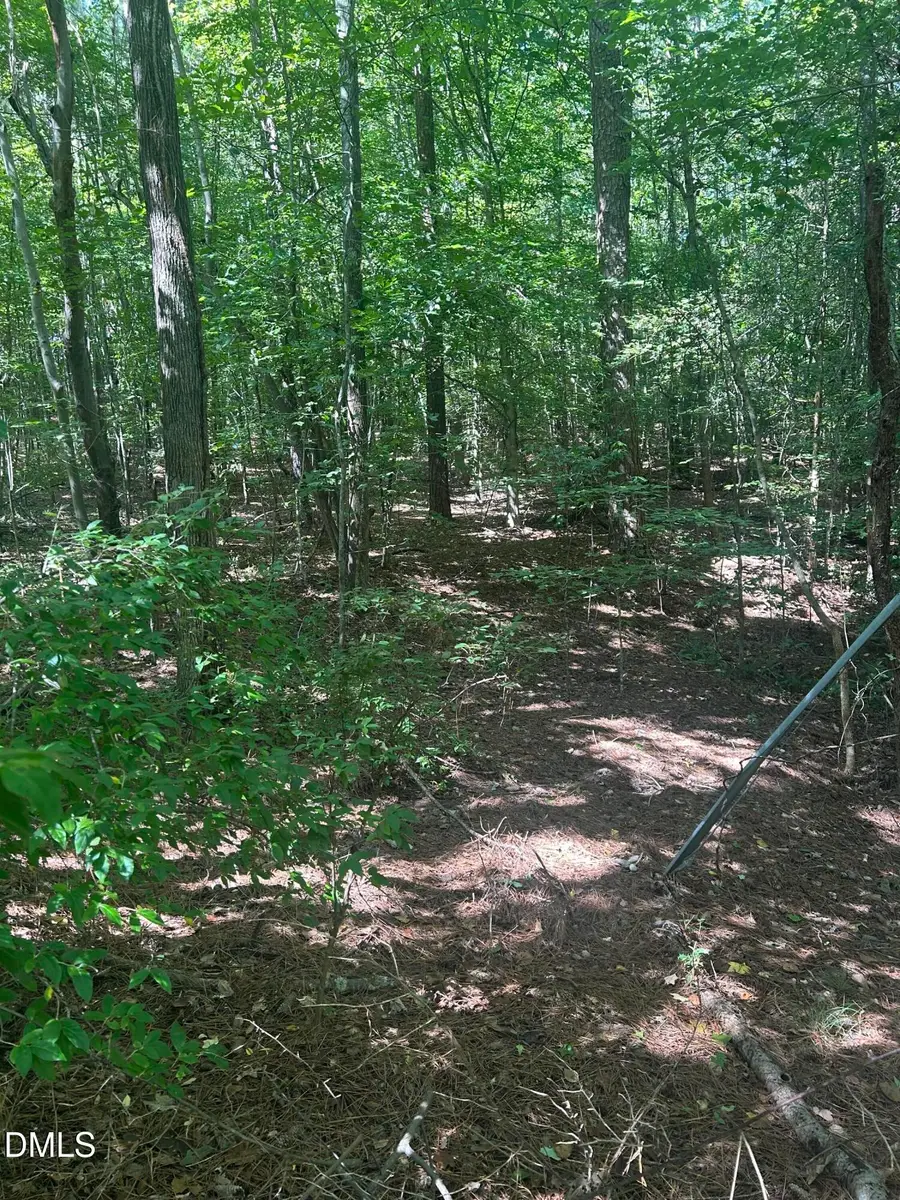 1317 Pine Trail, Clayton, NC 27520 - #3