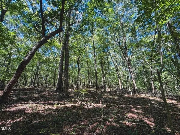 0 Ralph Moore Road, Bear Creek, NC 27207