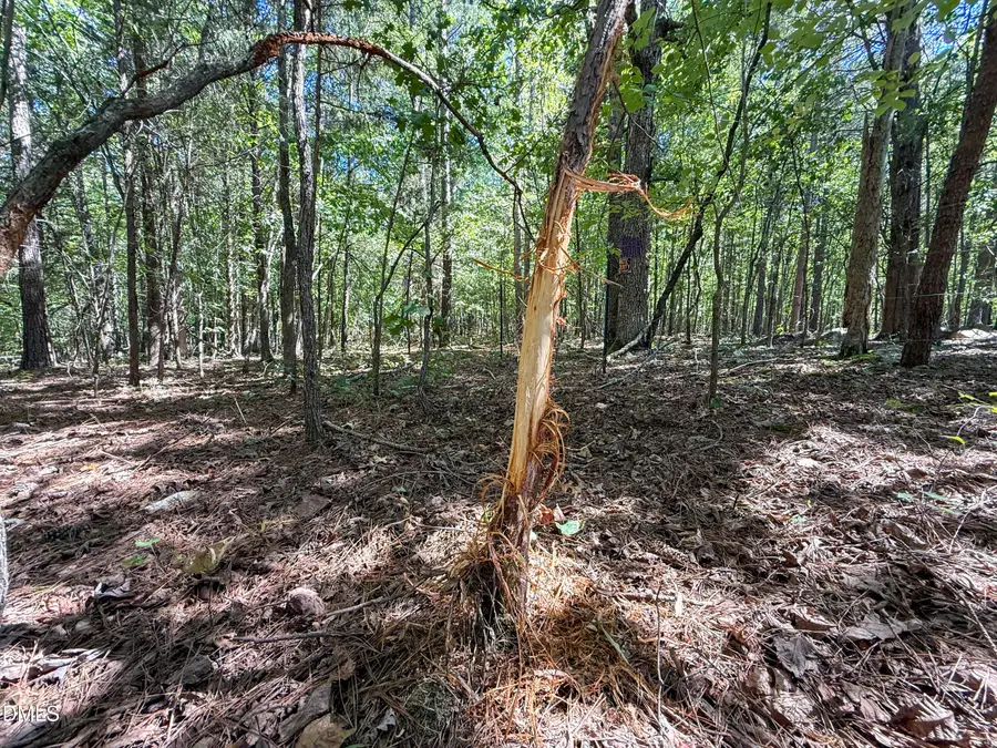 0 Ralph Moore Road, Bear Creek, NC 27207 - #2