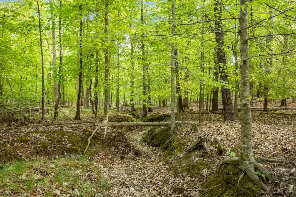 2a Union Grove Church Road, Chapel Hill, NC 27516