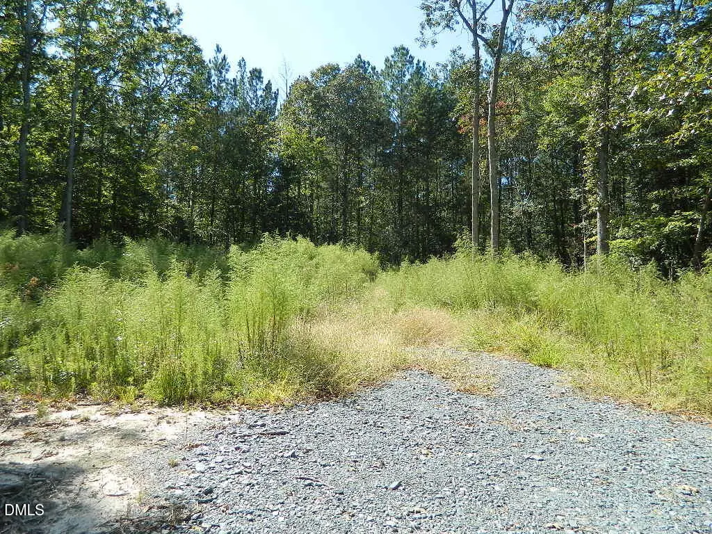 3036 Bennett Siler City Road, Bennett, NC 27208 - #1