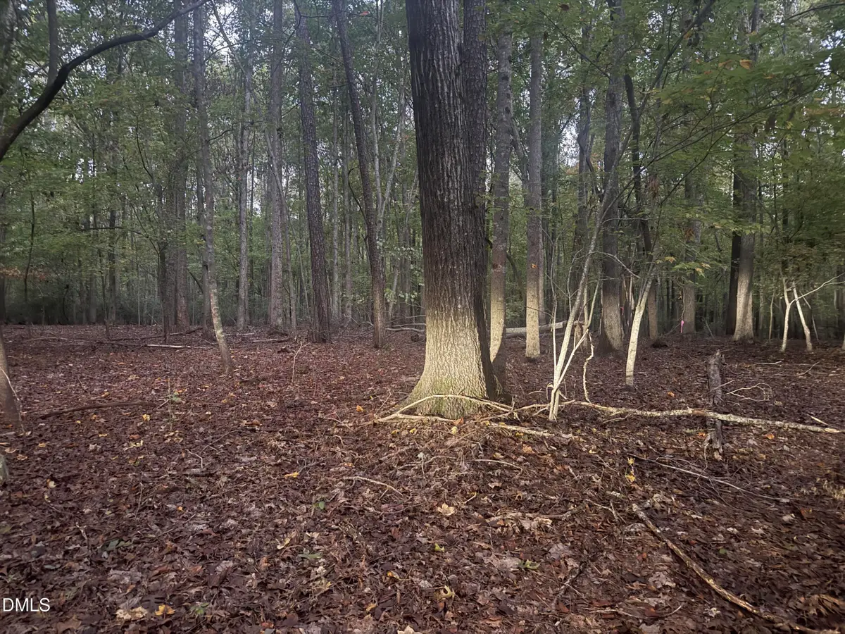 0 Dark Oaks, Pittsboro, NC 27312 - #1