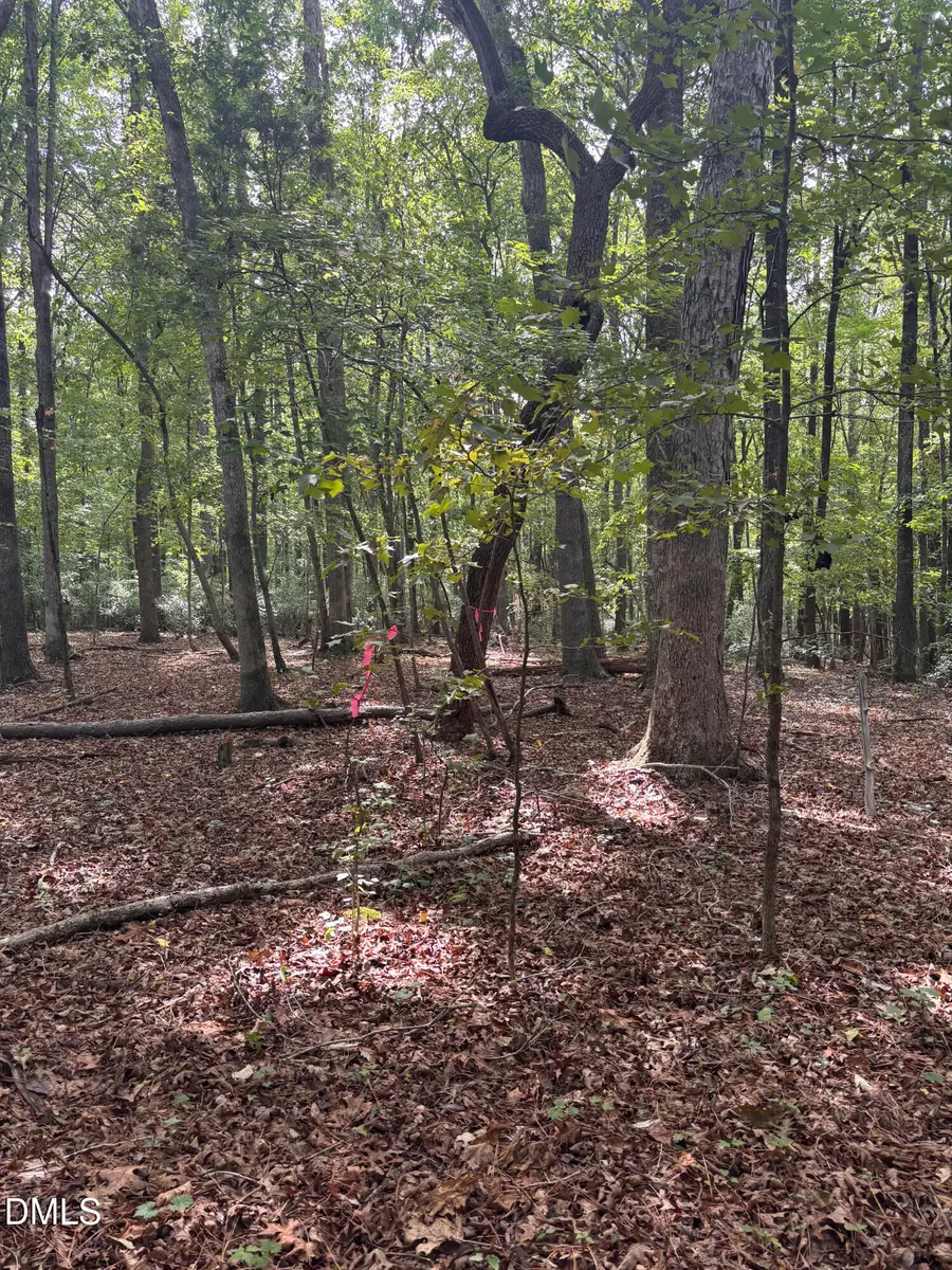 0 Dark Oaks, Pittsboro, NC 27312 - #3