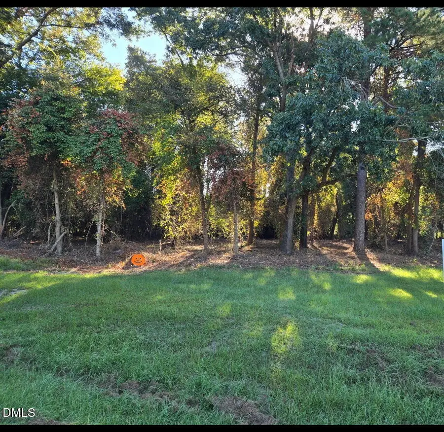 0 Godwin Lake Road, Benson, NC 27504 - #2