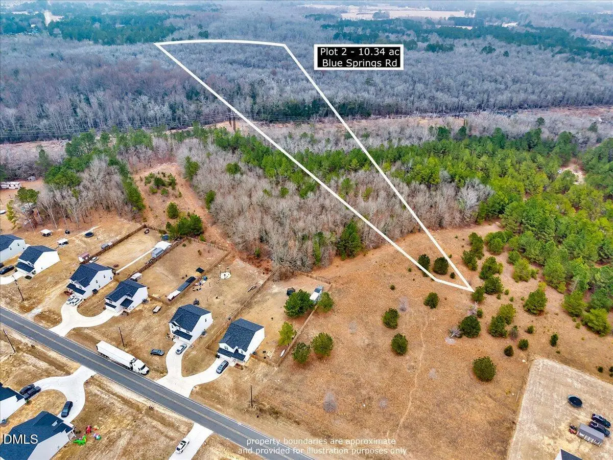Lot 2 Blue Springs Road, Red Springs, NC 28377 - #1