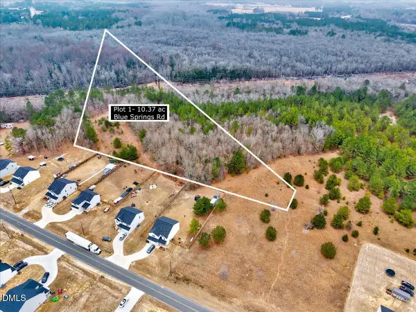 Lot 1 Blue Springs Road, Red Springs, NC 28377