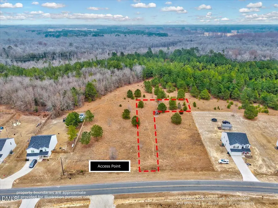 Lot 1 Blue Springs Road, Red Springs, NC 28377 - #3
