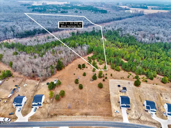 Lot 3 Blue Springs Road, Red Springs, NC 28377