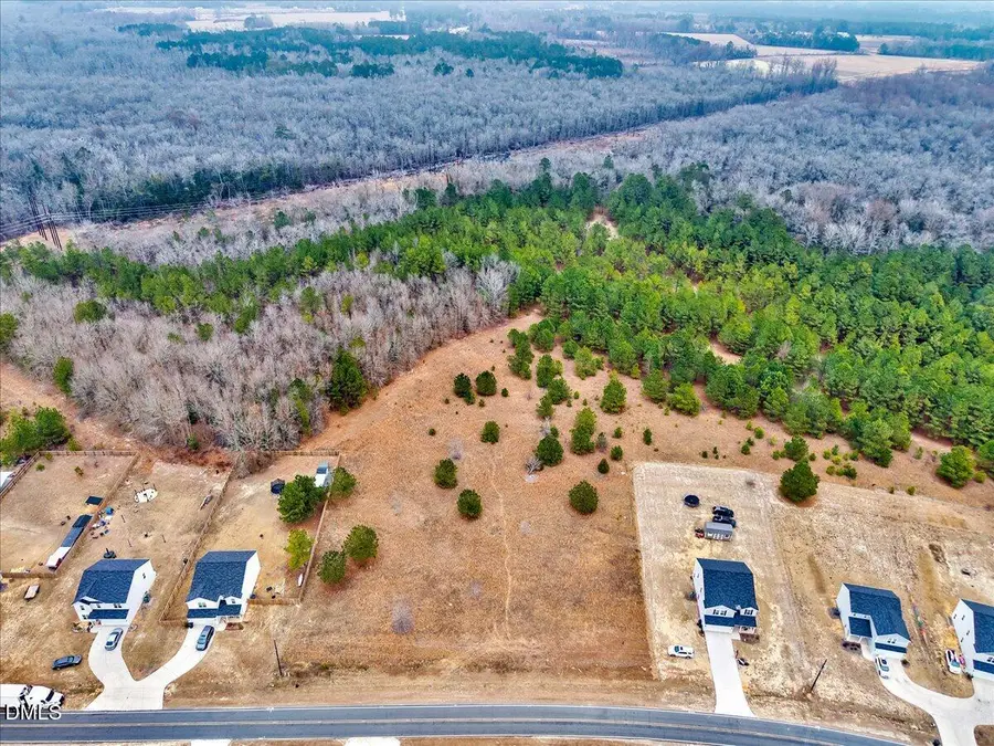 Lot 3 Blue Springs Road, Red Springs, NC 28377 - #2