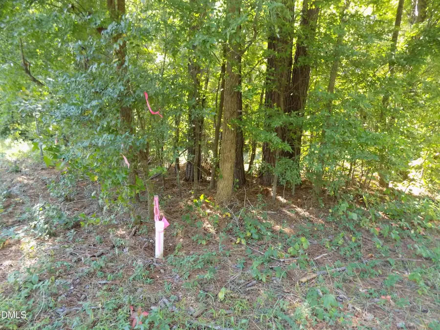 0 Perdues Road, Louisburg, NC 27549 - #3