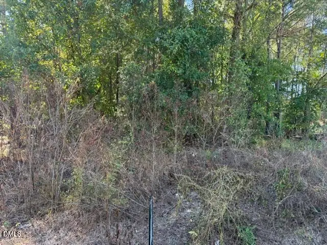 644 Caulton Brown Road, Lillington, NC 27546 - #1