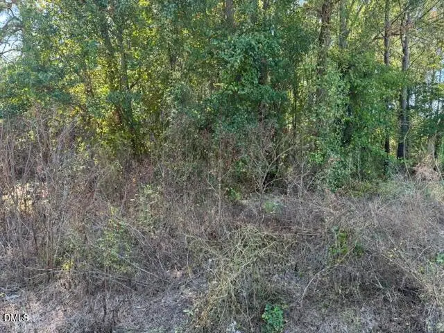 644 Caulton Brown Road, Lillington, NC 27546 - #3