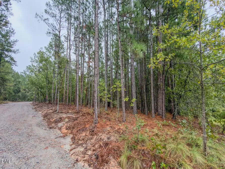 599 Mcduffie Road, Cameron, NC 28326 - #2