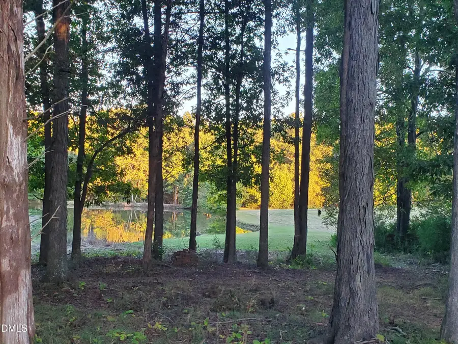 1196 Pearleman Teague Road, Siler City, NC 27344 - #3