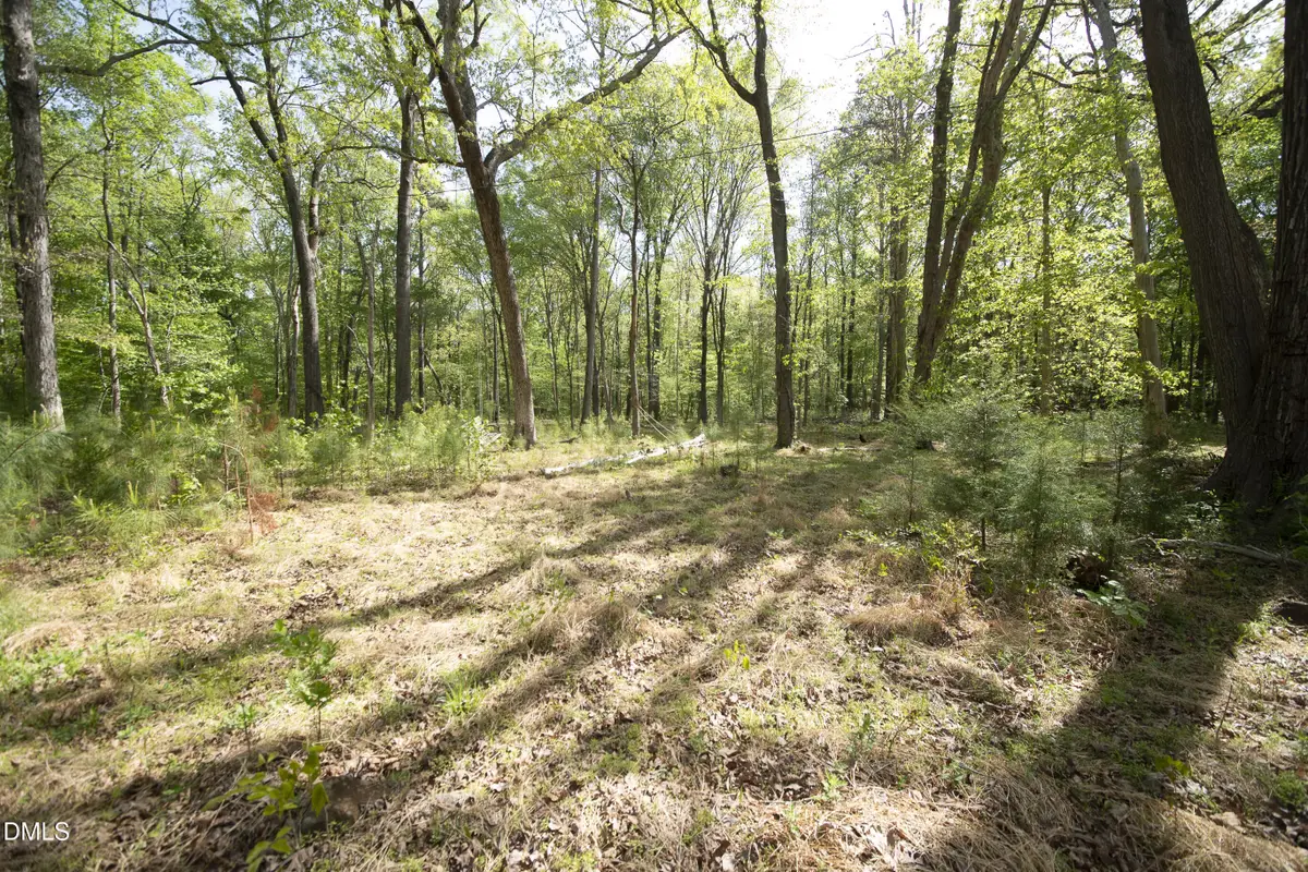 7202 Old Nc 86, Chapel Hill, NC 27516 - #1
