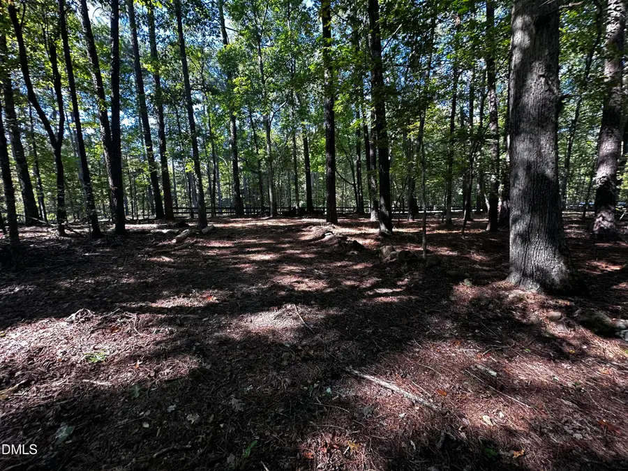 1422 Mt Pisgah Church Road, Apex, NC 27523 - #2
