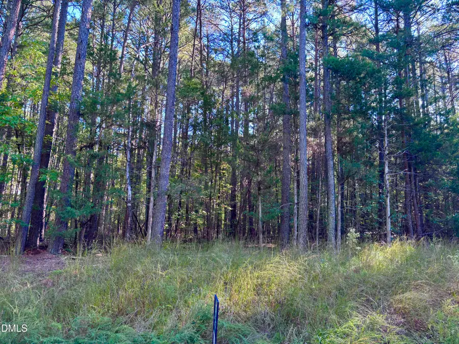 0 Pool Rock Plantation Lane, Henderson, NC 27537 - #3