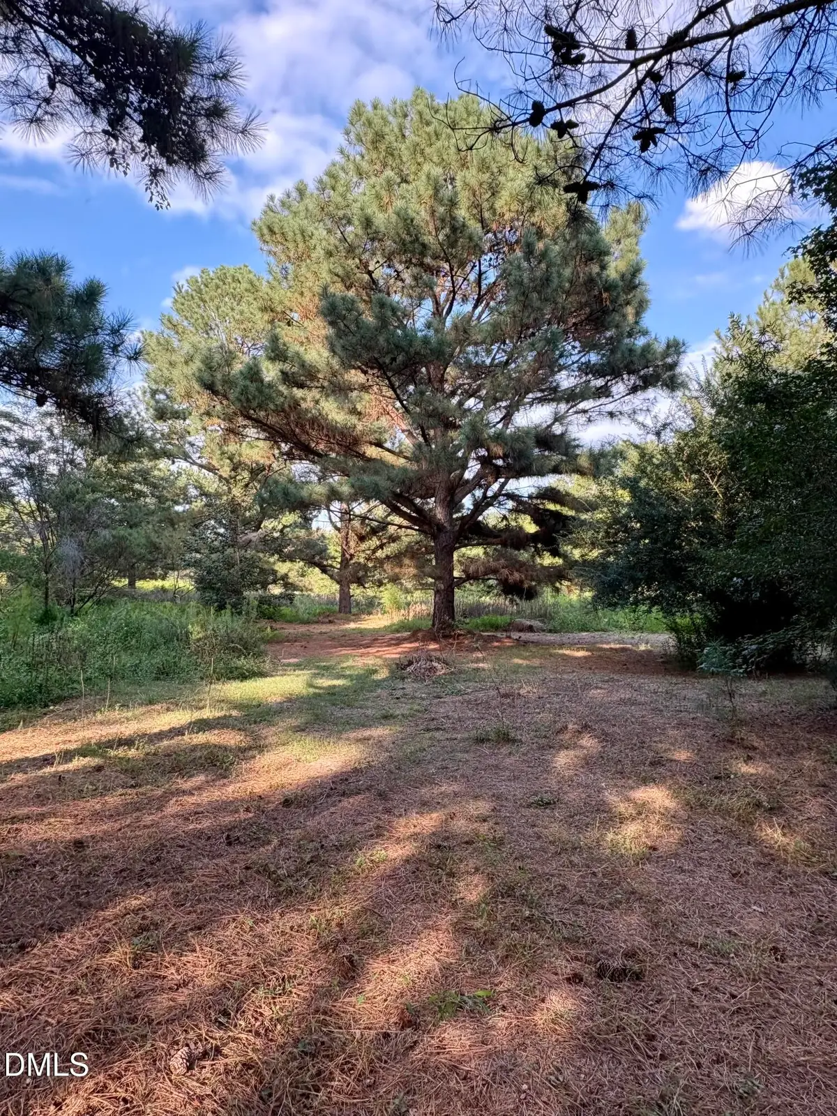 1574 Major Hill Road, Snow Camp, NC 27349 - #1