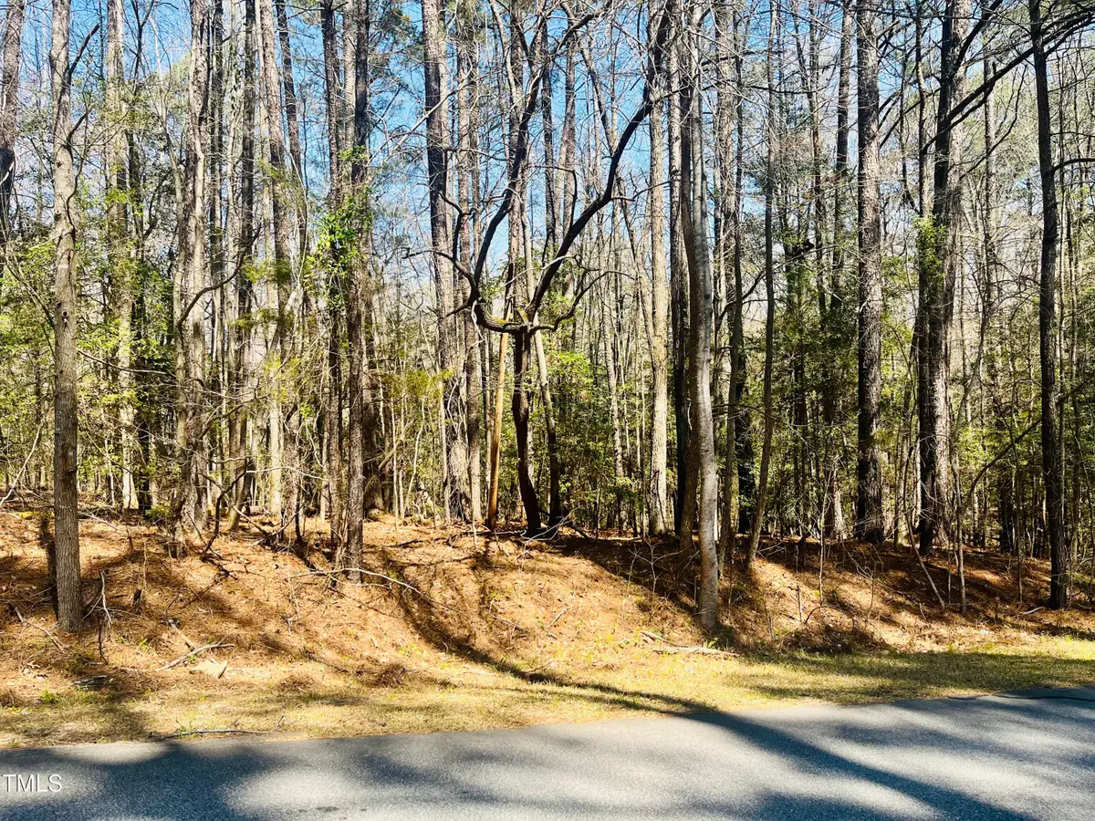 119 & 121 Osage Drive, Louisburg, NC 27549 - #1