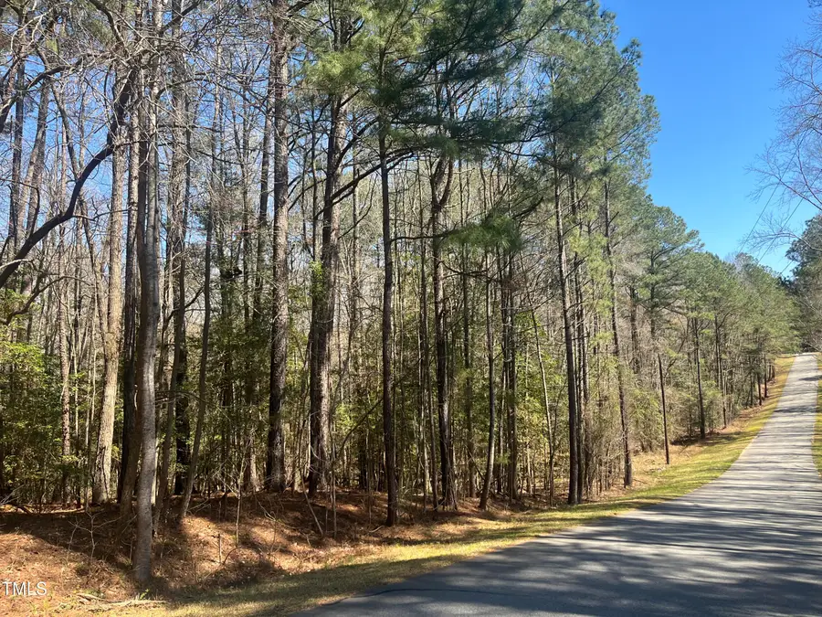 119 & 121 Osage Drive, Louisburg, NC 27549 - #3