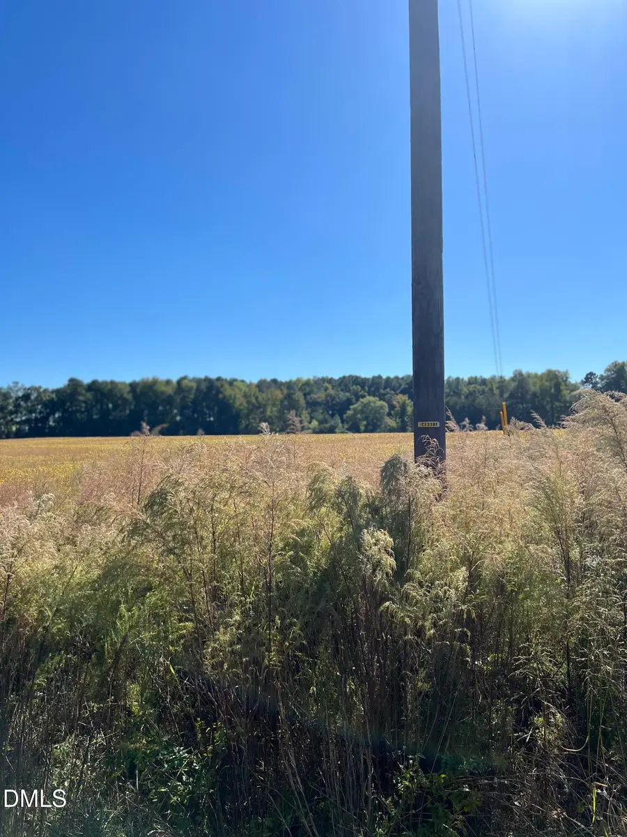 Tract 2 Johnson Town Road, Zebulon, NC 27597 - #3