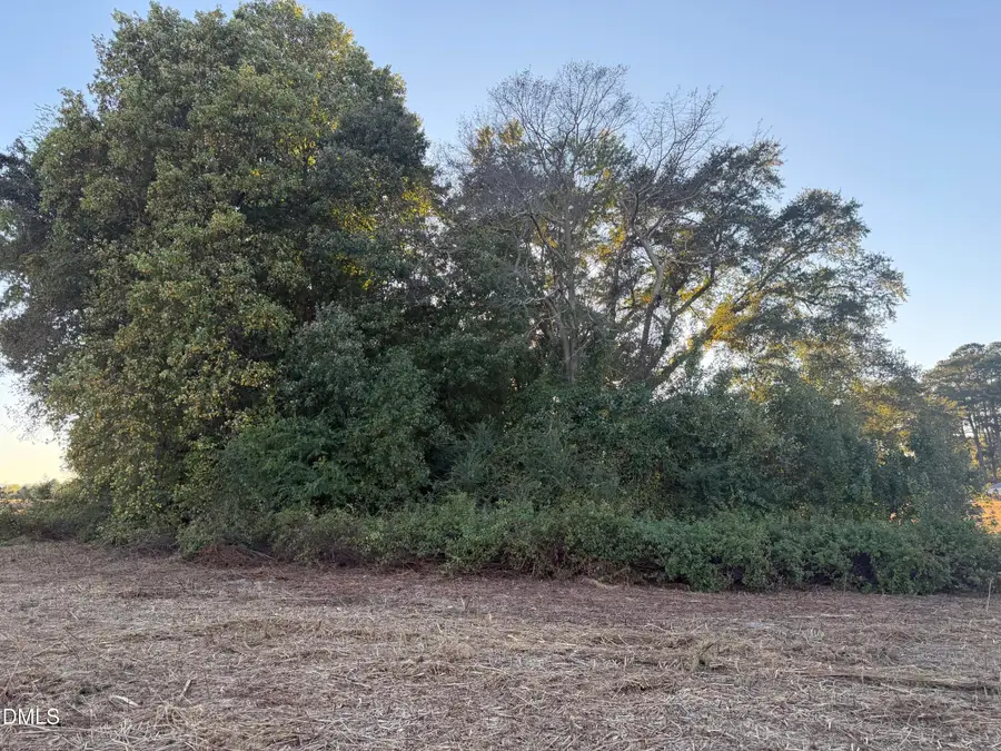 0 S U.s. Highway 301, Four Oaks, NC 27524 - #2