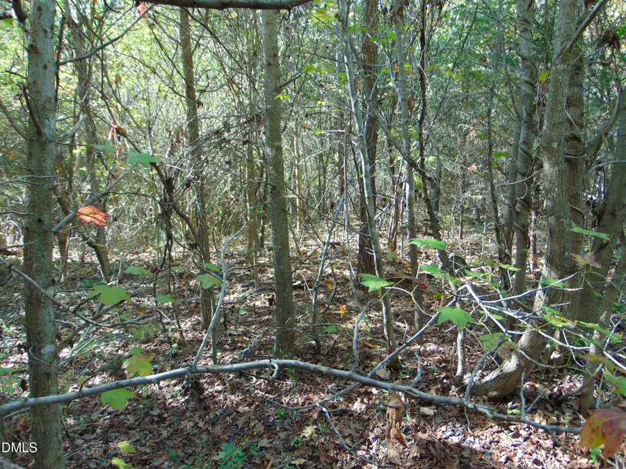 Lot 11 Bill Smith Rd, Providence, NC 27315 - #3