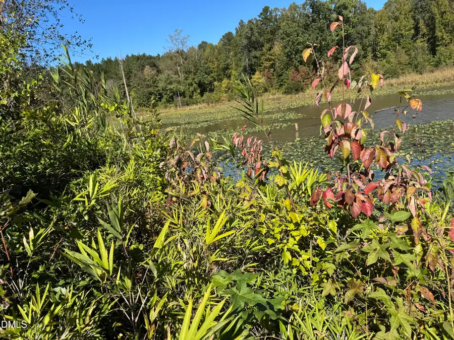 000 Nick Williams Road, Norlina, NC 27563 - #3