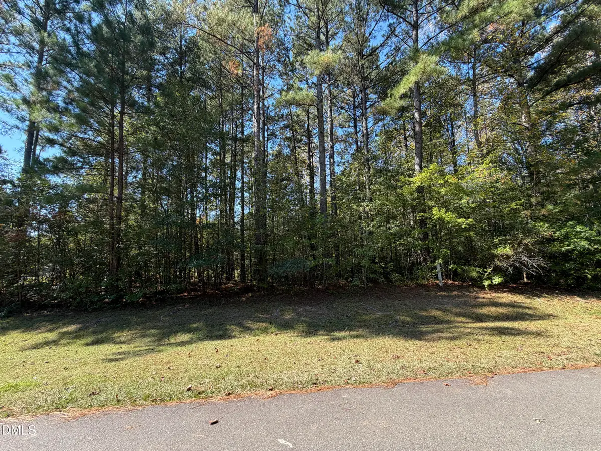 33 Willow Creek Court, Pittsboro, NC 27312 - #1