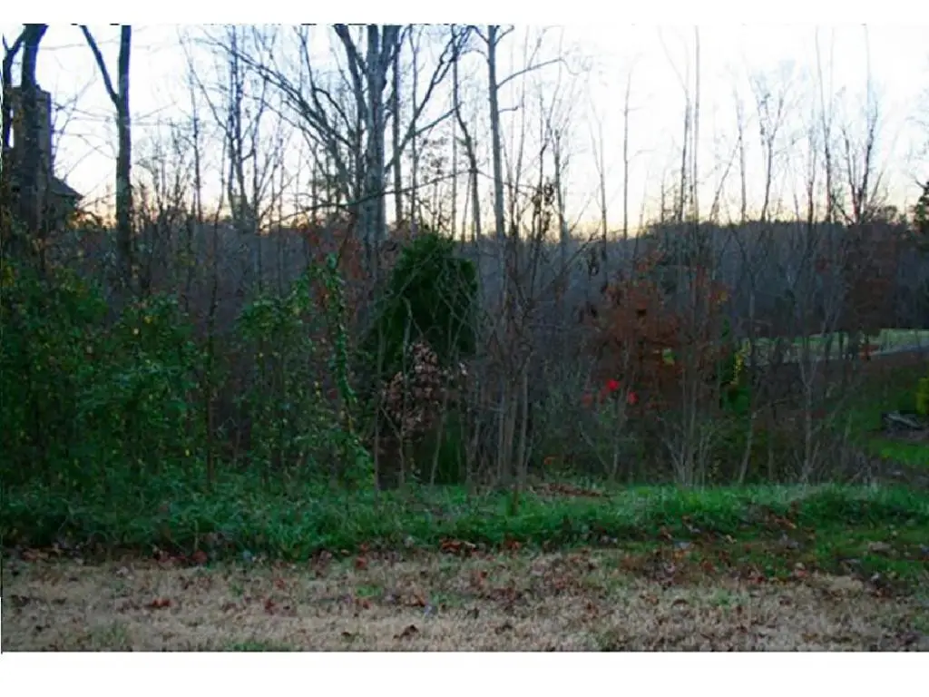 705 Croswell Court, Whitsett, NC 27377 - #1