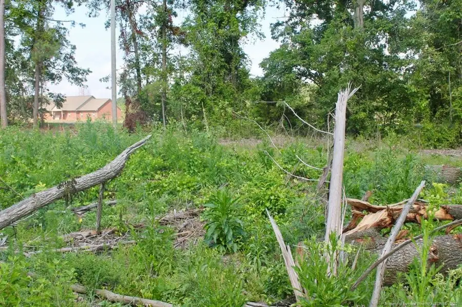 Laurinburg Road Highway S, Raeford, NC 28376 - Image #2