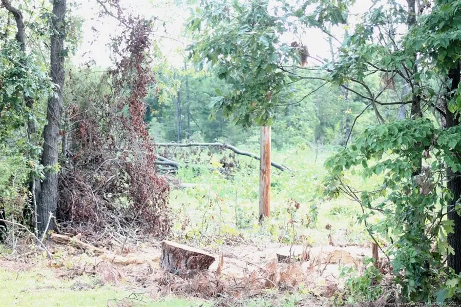 Laurinburg Road Highway S, Raeford, NC 28376 - Image #3