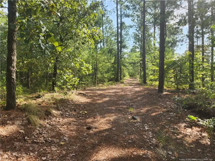 6518 Stone Mountain Farm Road, Fayetteville, NC 28311 - Image #2