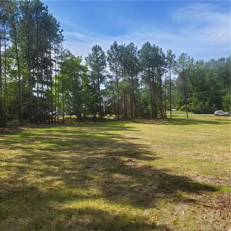 TBD Lot 2 Rockfish Road, Raeford, NC 28376 - Image #2