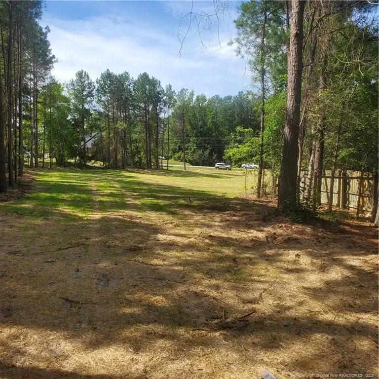 Lot 3 Rockfish Road, Raeford, NC 28376 - Image #2