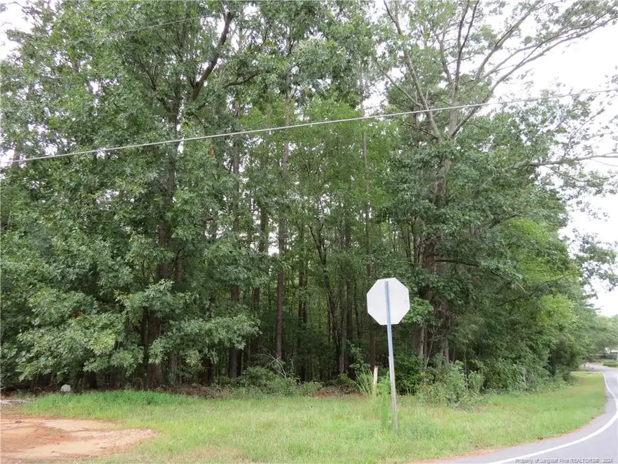 0 Lick Creek Road, Sanford, NC 27330 - Image #3