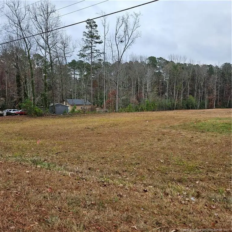 3003 Carbonton Rd Road, Sanford, NC 27330 - Image #2