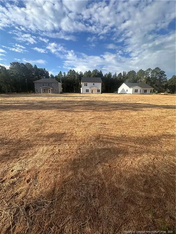 151 Merle Road, Pinebluff, NC 28373 - Image #3