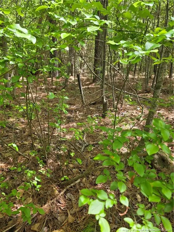 Fire Tower Lane, Raeford, NC 28376 - Image #2