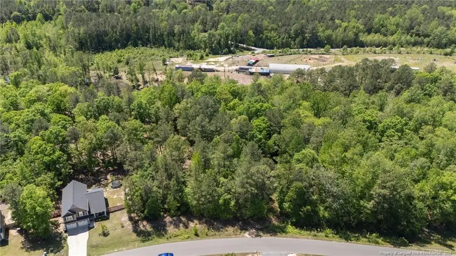 219 Stella Way, Cameron, NC 28326 - Image #3