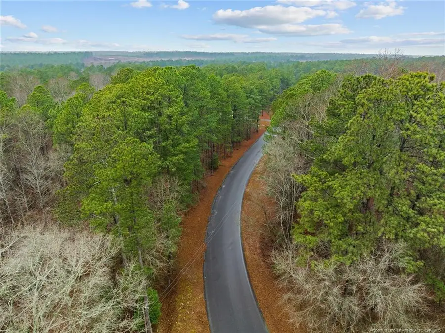 221 Pebble Drive, West End, NC 27376 - #3