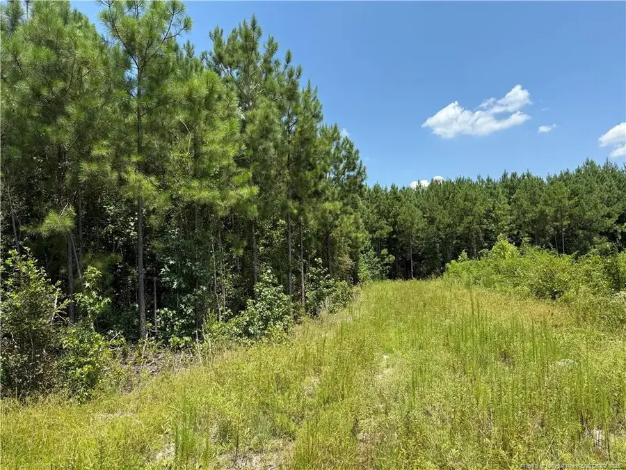 0 Tabor Church Road, Fayetteville, NC 28312 - Image #2