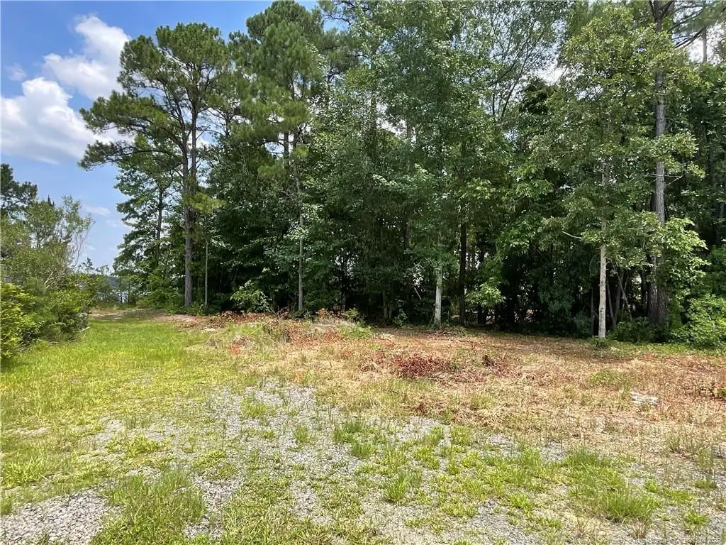 226 Clearview Court, Spout Springs, NC 27332 - Image #1